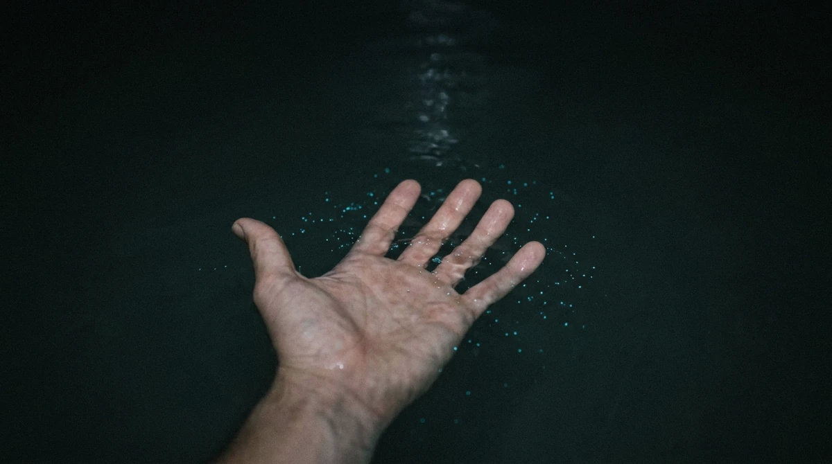 Blue-green pinpricks of light scattering around a swimmer's hand in dark shallow water during a Holbox bioluminescence tour on Isla Holbox, Mexico